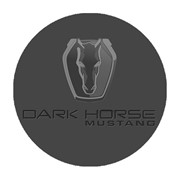 FORD MUSTANG DARK HORSE CAR FMDHC-GY-ADL View 2